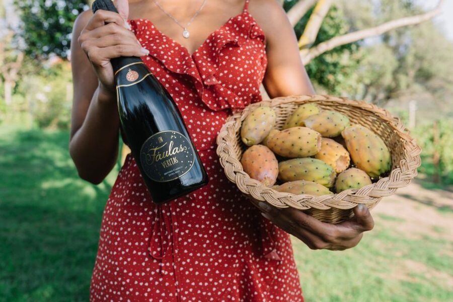 Olbia: Gallura Winery Guided Tour with Tasting - A small winery with a family feel