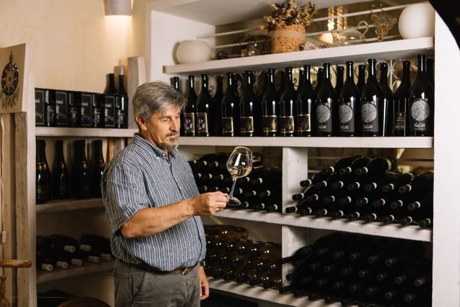 Olbia: Gallura Winery Guided Tour with Tasting - Three wines with a generous Sardinian plate