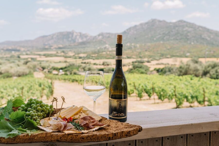 Olbia: Gallura Winery Guided Tour with Tasting - Walking through the Gallura vineyard