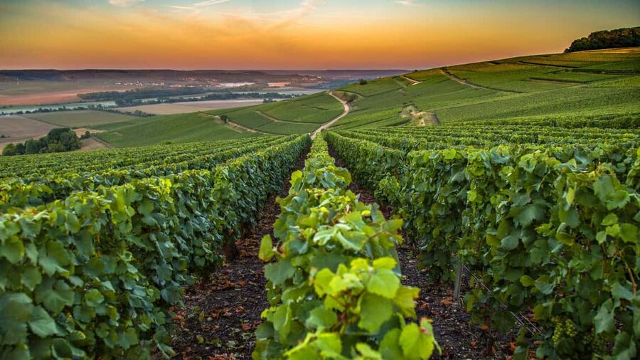 Organic Wine Tasting with Saint paul Half Day Tour from Nice - Saint Paul de Vence: beautiful, compact, and short on time