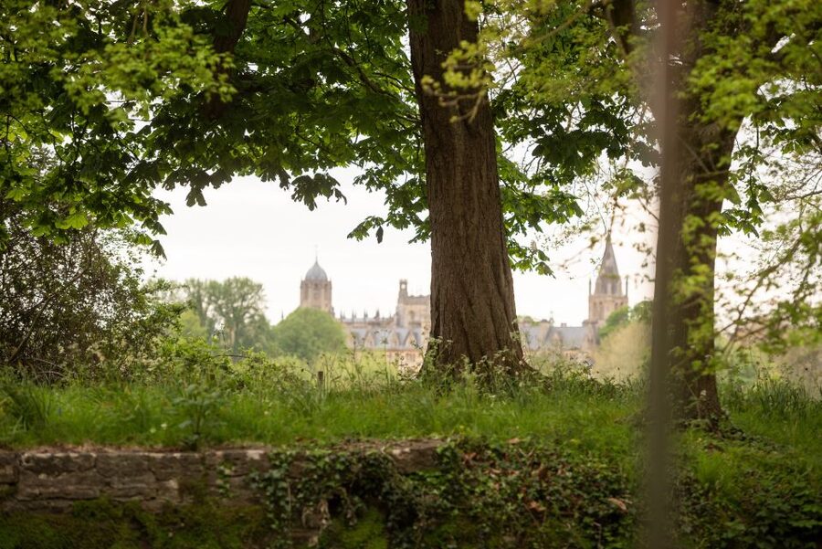 Oxford: Evening Sightseeing River Cruise with a Cocktail - Who should book this cruise?
