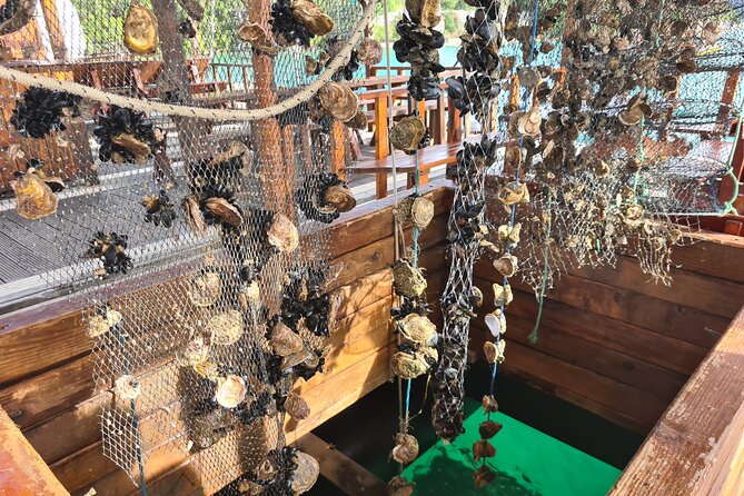 Oysters & Wine Tour From Dubrovnik (Small Group) - Why this tour works so well from Dubrovnik