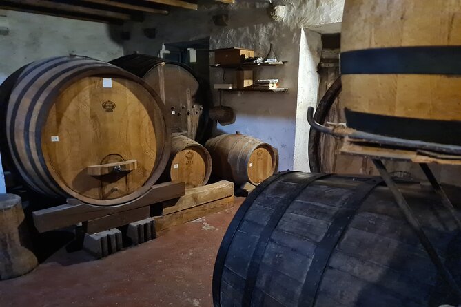 Oysters & Wine Tour From Dubrovnik (Small Group) - What the six-hour schedule really feels like