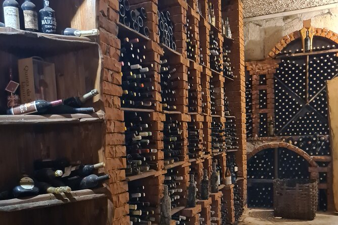 Oysters & Wine Tour From Dubrovnik (Small Group) - Who should book this experience?