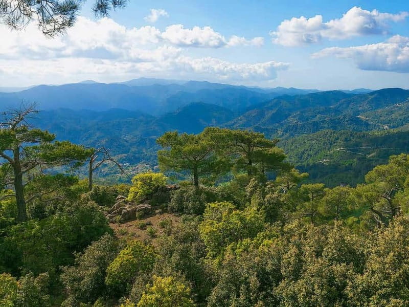 Paphos: Scenic Troodos Mountains Tour with Wine Tasting - Key points to know before you book