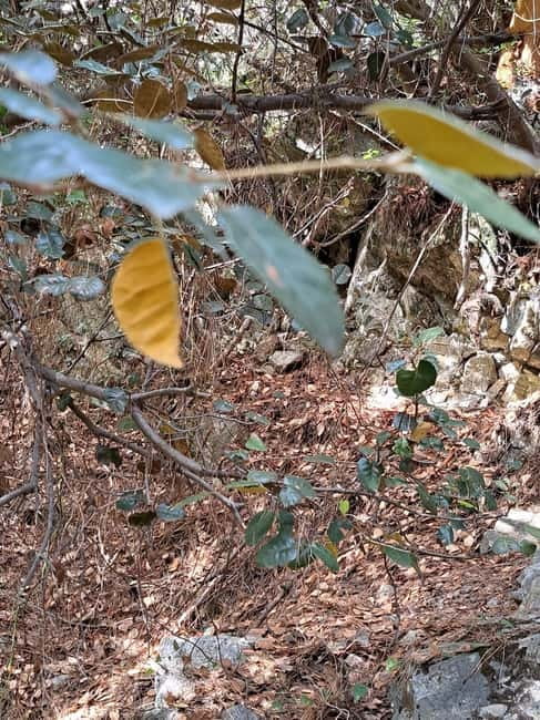 Paphos: Troodos Mountains Jeep Tour with Wine Tasting - What the $73 price really buys you