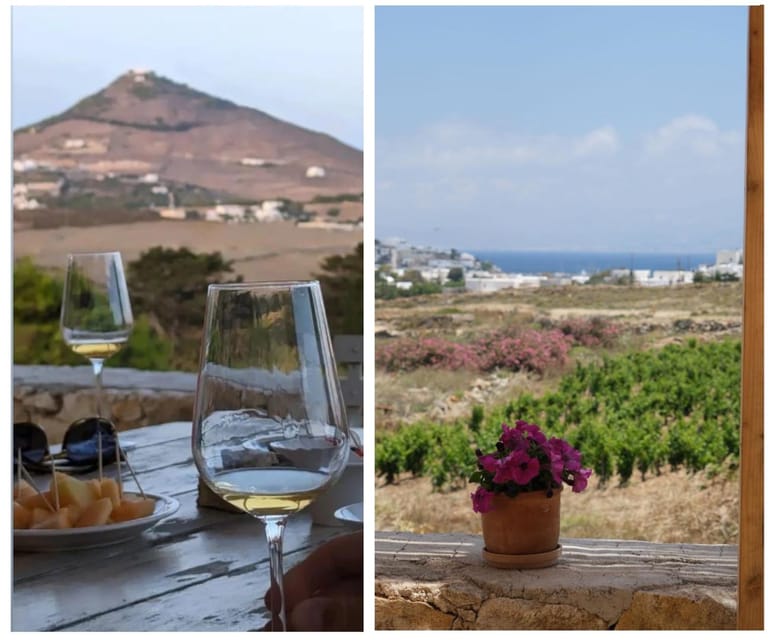 Paros: Wine tasting at Local Winery - The sea view is part of the experience