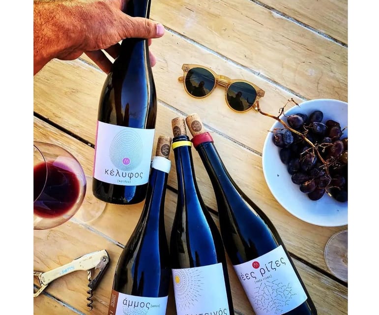 Paros: Wine tasting at Local Winery - Friendly hosting without a formal tasting script