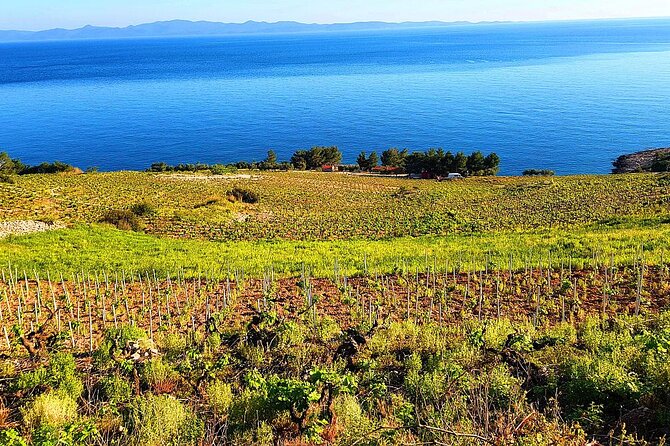 Peljesac and Ston Private Wine Tour with Tastings from Dubrovnik - Potomje and the first two winery visits