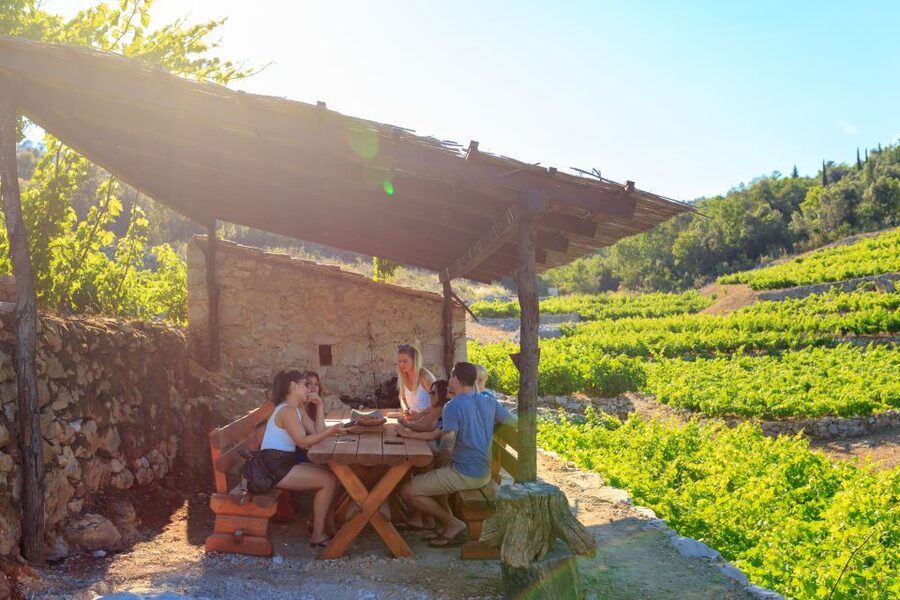 Pelješac Full-Day Wine and Food Tour from Dubrovnik - Ston walls, old salt, and a proper start to the day