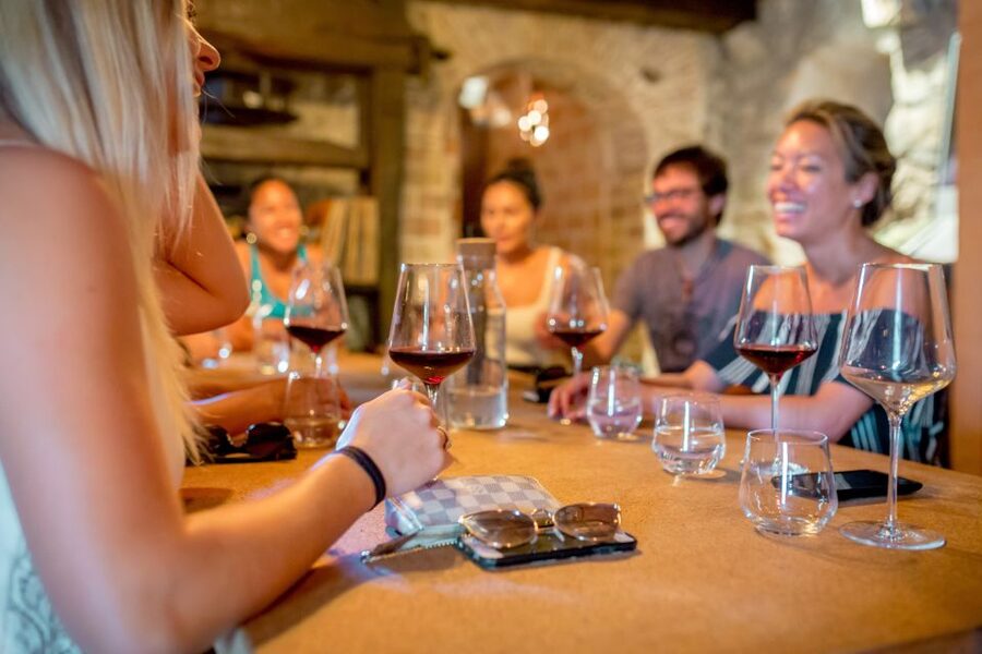 Pelješac Full-Day Wine and Food Tour from Dubrovnik - Pelješac vineyards and the first wine tasting