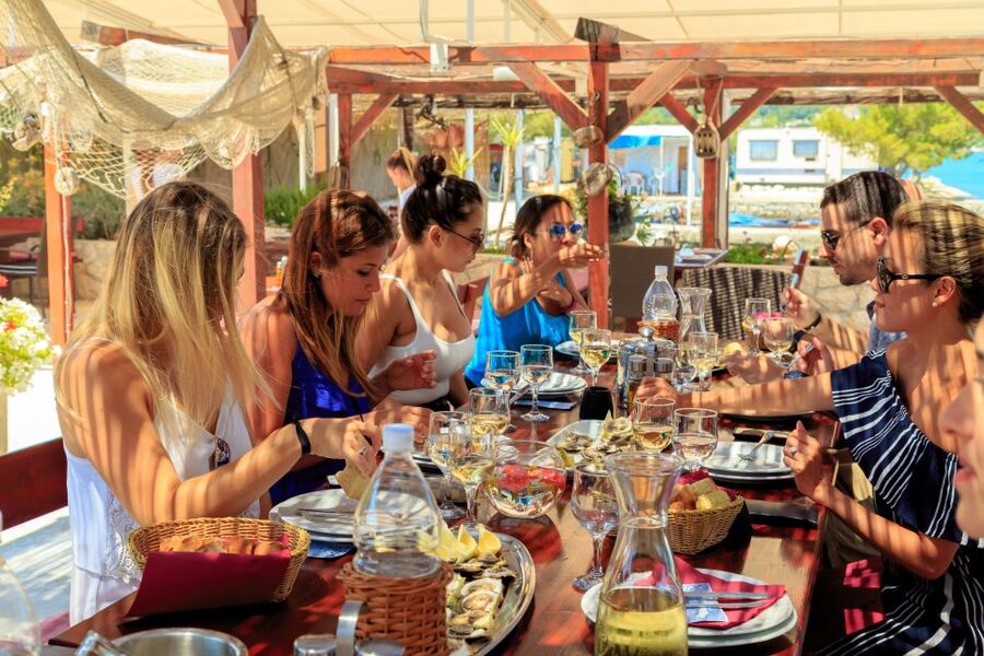 Pelješac Full-Day Wine and Food Tour from Dubrovnik - The steep slopes and the value of seeing the vines