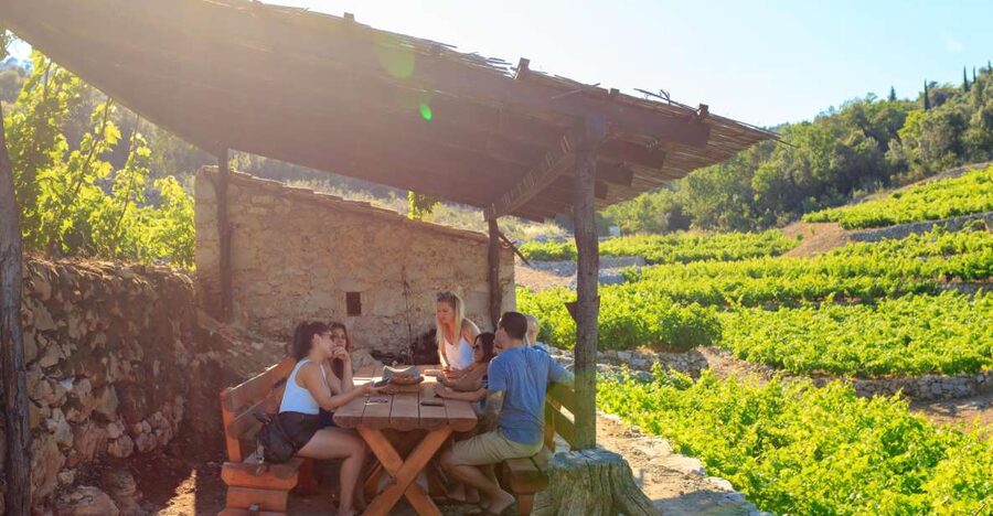 Pelješac Full-Day Wine and Food Tour from Dubrovnik - Fresh oysters on the water at Mali Ston