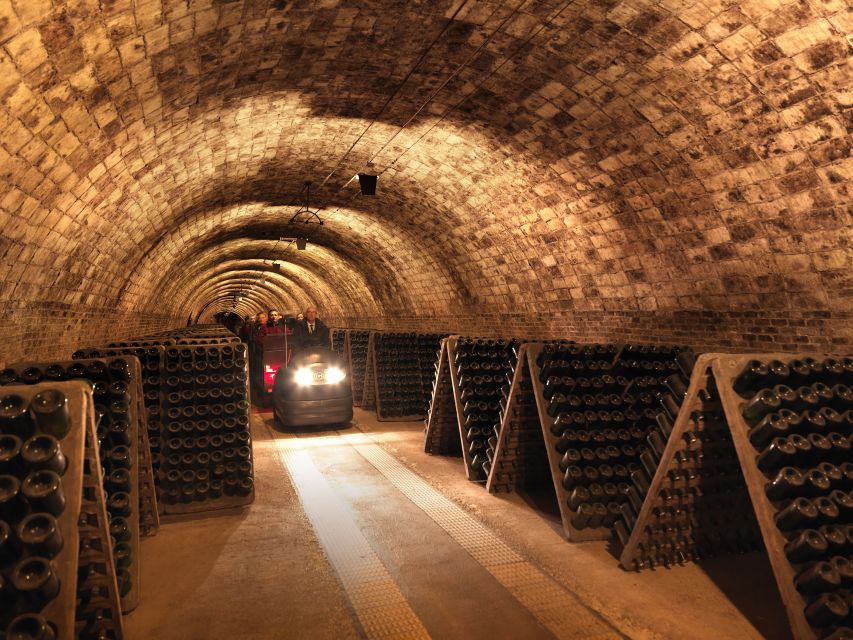 Penedès: Discovery Tour with Cava Tasting - What 75 minutes really gives you