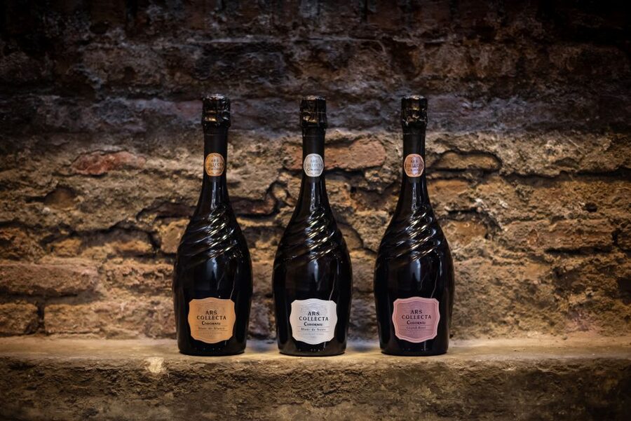 Penedès: Discovery Tour with Cava Tasting - Who will enjoy this Codorníu visit most
