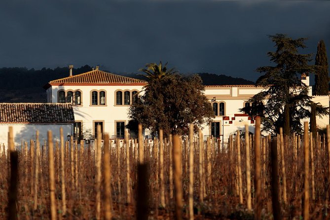 Penedes Wine & Cava Tasting & 4WD Vineyards Tour from Barcelona - Three wines, local food, and the still-wine visit