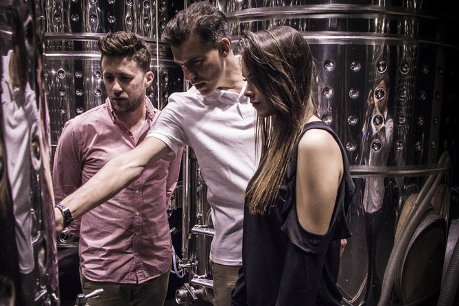 Penedes Wine & Cava Tasting & 4WD Vineyards Tour from Barcelona - The standing and walking question