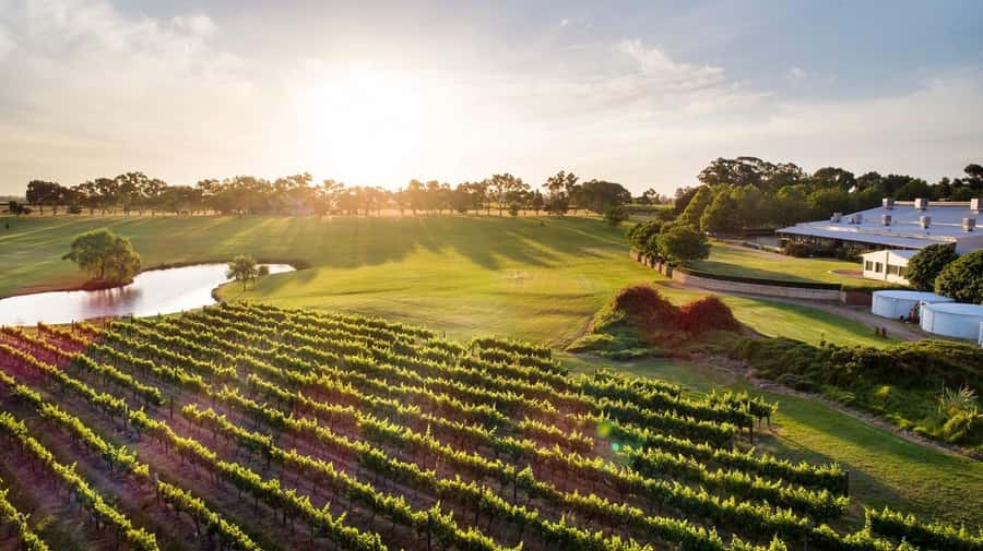 Perth: Full Day Swan Valley Cruise & Wine Tasting With Lunch - Coach transfer into wine country