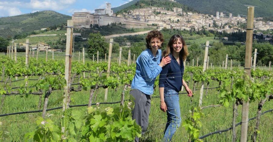 Pic nic Deluxe Assisi and wine tasting 5 wines - Key points to know before booking