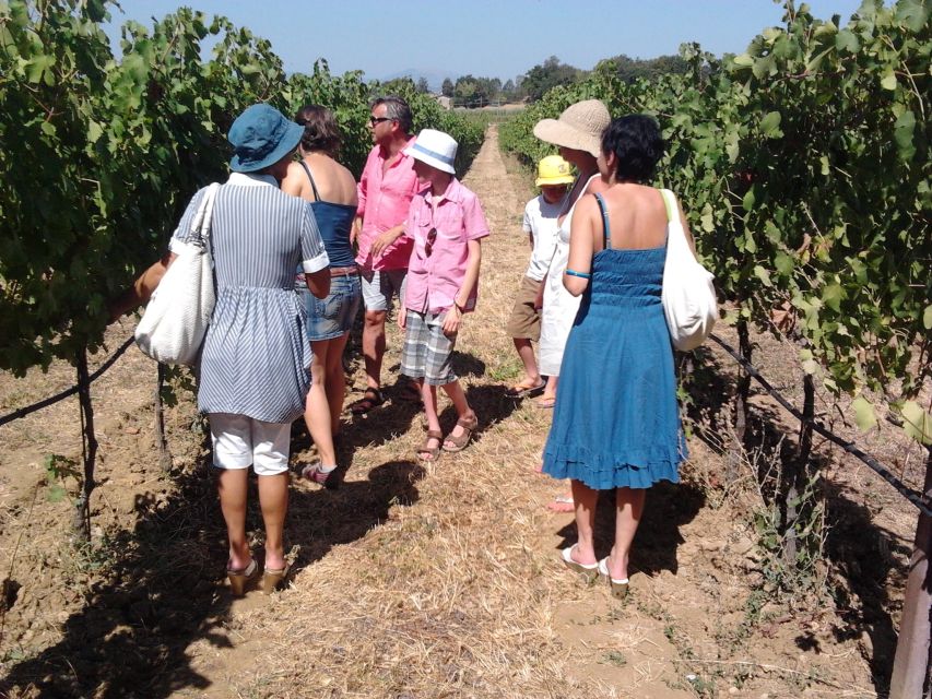 Pic nic Deluxe Assisi and wine tasting 5 wines - Should you book the SAIO vineyard picnic?