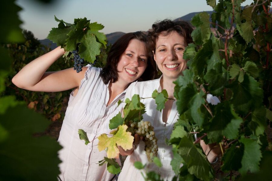 Pic nic Deluxe Assisi and wine tasting 5 wines - Information boards and a quiet walk through the vines