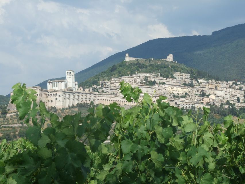 Pic nic Deluxe Assisi and wine tasting 5 wines - Why the $52 price can work well