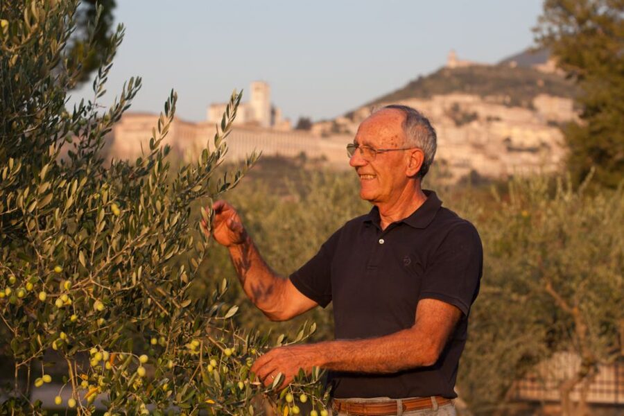 Pic nic Deluxe Assisi and wine tasting 5 wines - Who will enjoy this experience most