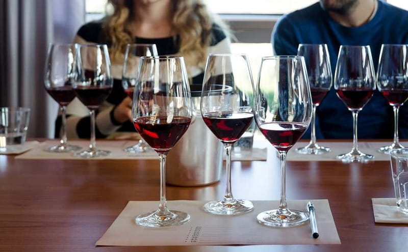 Piedmont: Winery Tour, Taste Barolo, Barbaresco & Local Food - Inside the centuries-old cellar