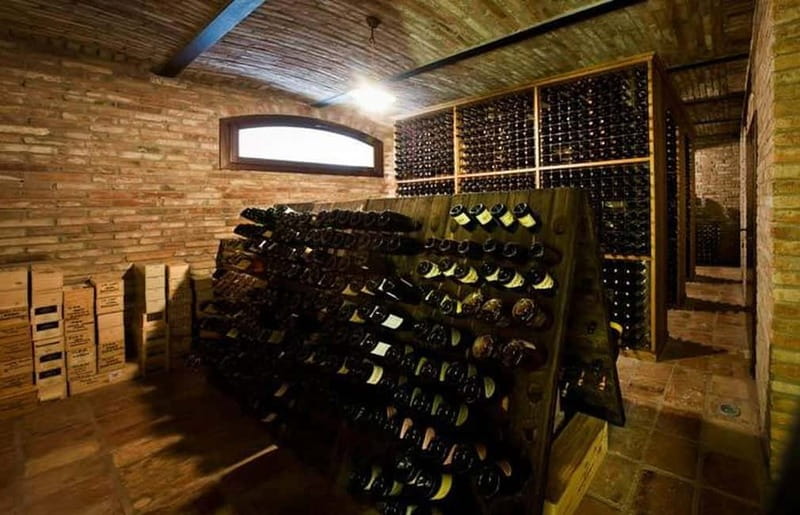 Piedmont: Winery Tour, Taste Barolo, Barbaresco & Local Food - Seven wines, from Barbera to Barolo