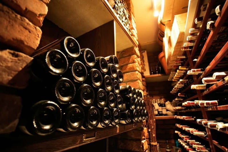Piedmont: Winery Tour, Taste Barolo, Barbaresco & Local Food - A walk through the vineyard