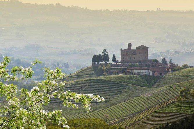Piedmont Winery Tour: Taste Barolo, Barbaresco & Traditional Food - Getting there from Turin