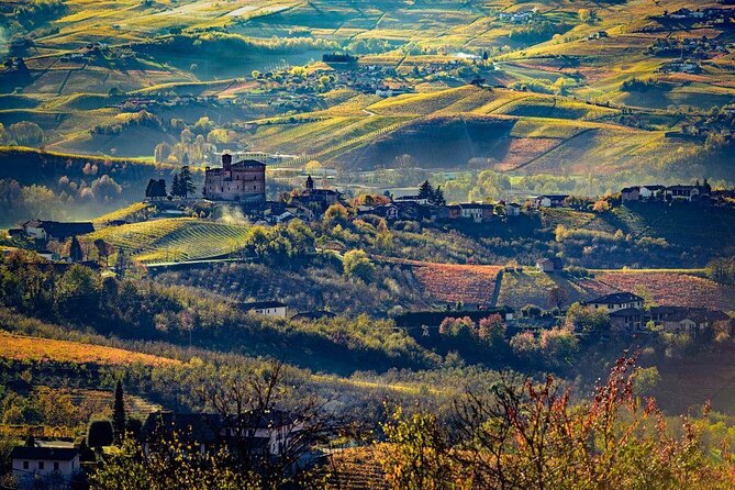 Piedmont Winery Tour: Taste Barolo, Barbaresco & Traditional Food - Who will enjoy this most?