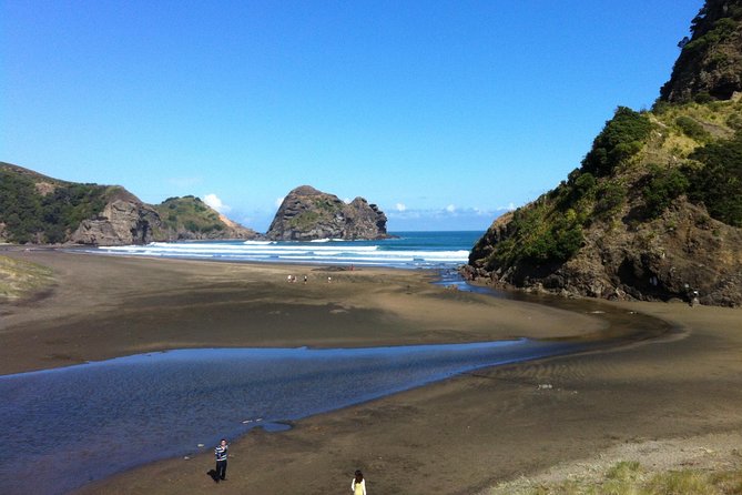Piha Waitakere Rainforest Wine Tour from Auckland - Why this Auckland day trip works