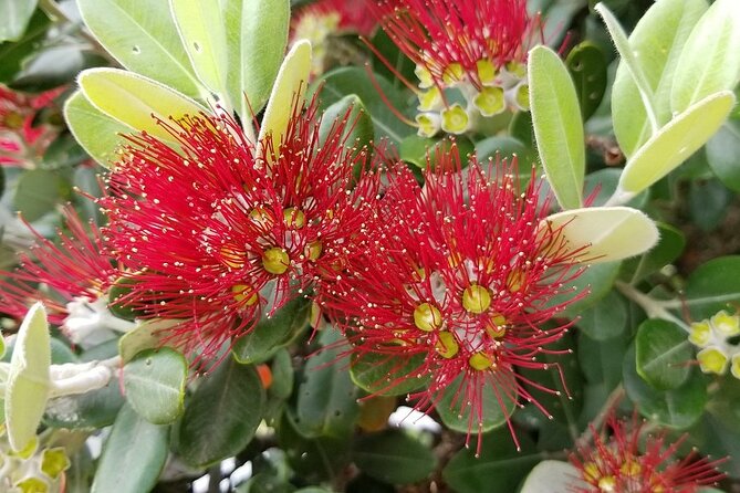 Piha Waitakere Rainforest Wine Tour from Auckland - Westbrook Wines and the second tasting