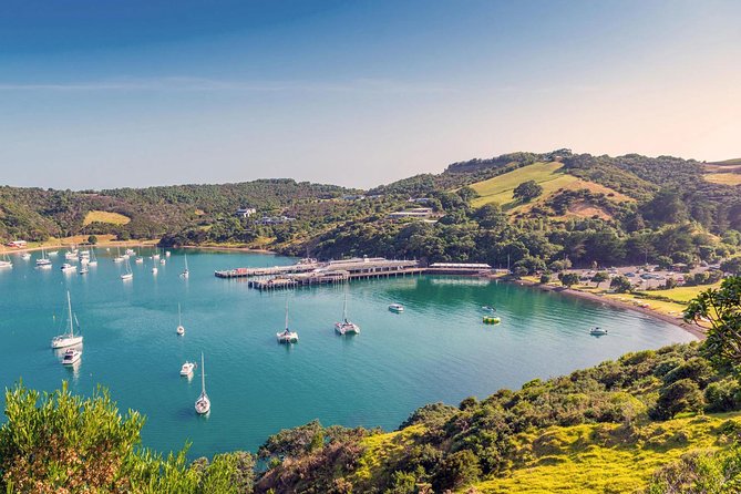 Piha Waitakere Rainforest Wine Tour from Auckland - The guide can shape the whole day