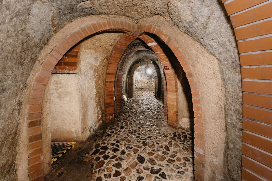 Pilsen: Historic Underground Tour with a Glass of Beer - Booking flexibility and language choices