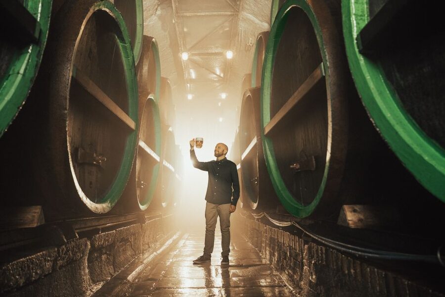 Pilsen: Pilsner Urquell Brewery Tour with Beer Tasting - The historic cellars and the final tasting
