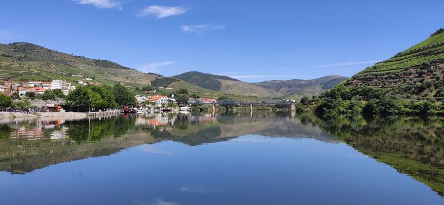 Pinhão: Douro River 50-min Boat Trip with Port Wine - Key points to know before you book