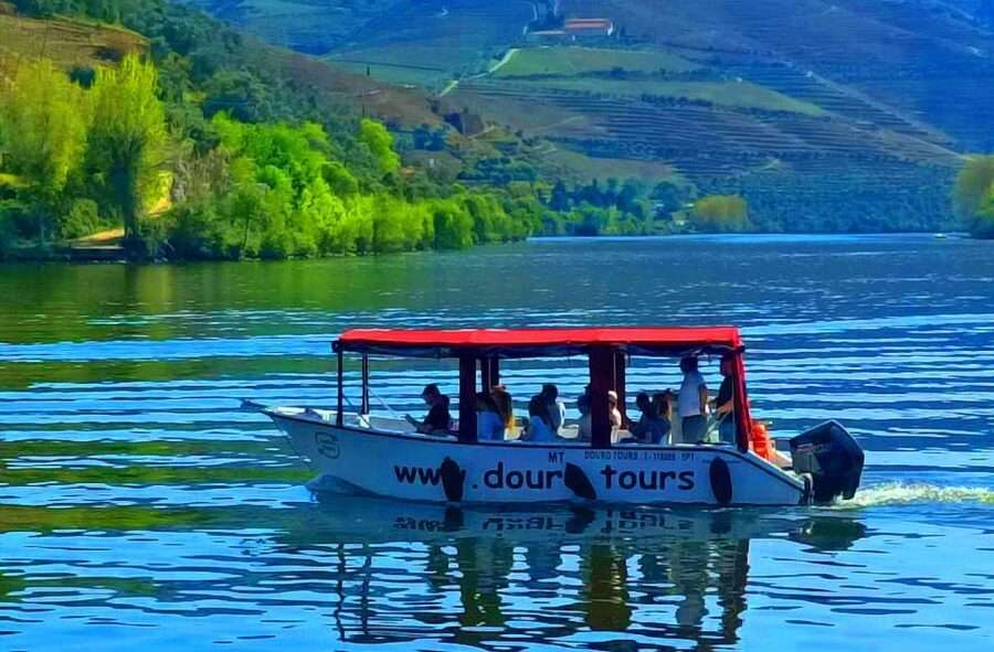 Pinhão: Douro River 50-min Boat Trip with Port Wine - Ponte do Pinhão and the first river views