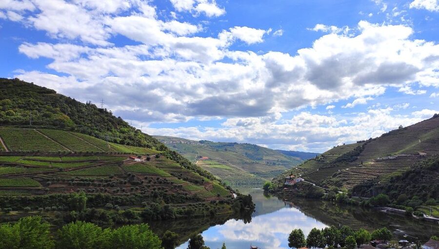 Pinhão: Douro River 50-min Boat Trip with Port Wine - Quinta da Roêda and the Port wine setting