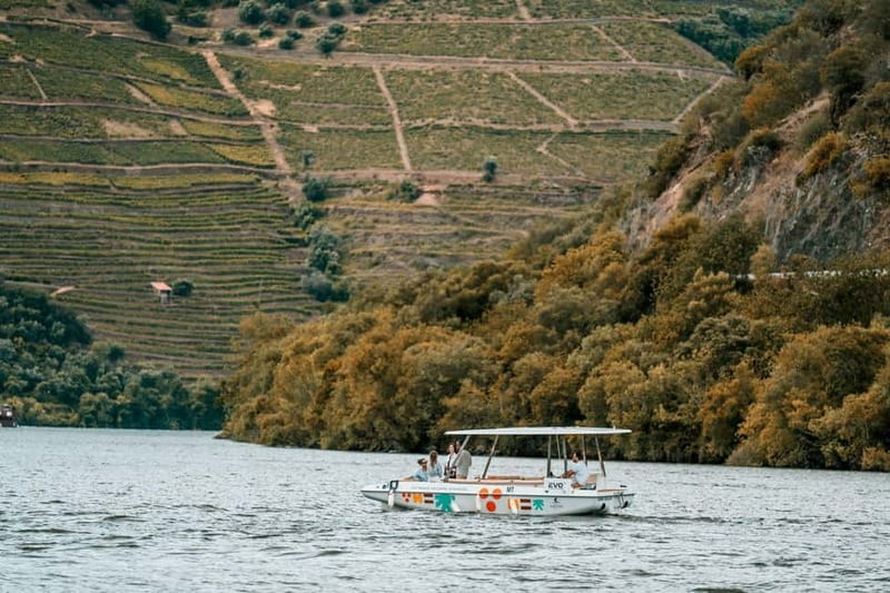 Pinhão: Douro River Solar Boat Tour with Wine Tasting - A small boat is better for questions and photographs