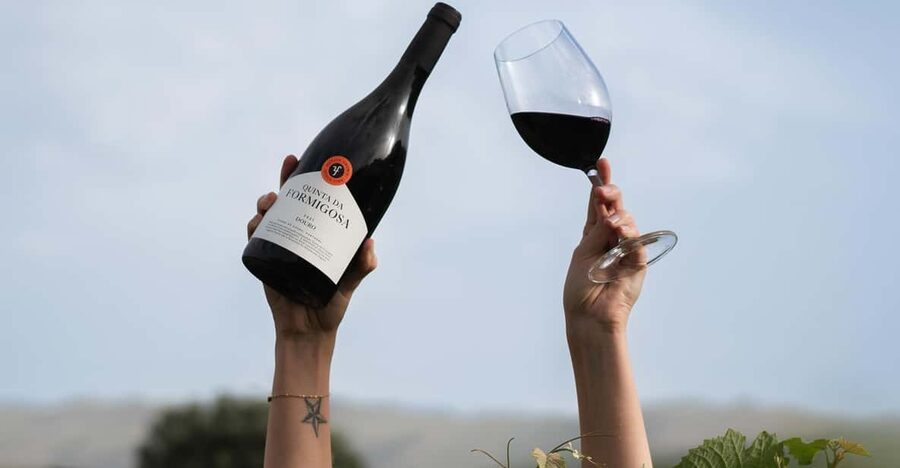 Pinhão: Quinta da Formigosa Vineyard Tour and Wine Tasting - Key points to know before booking
