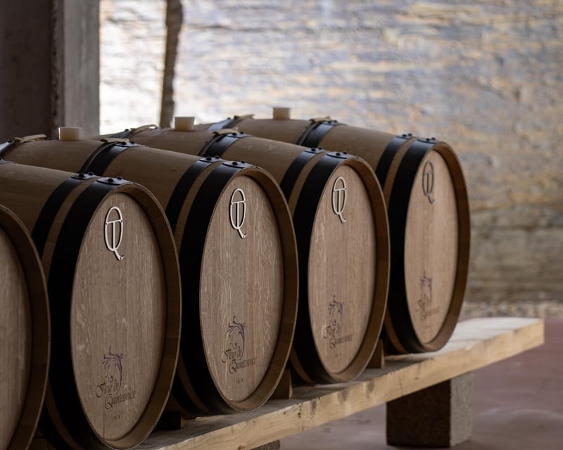 Pinhão: Quinta da Formigosa Vineyard Tour and Wine Tasting - Forty-five minutes of wine and views