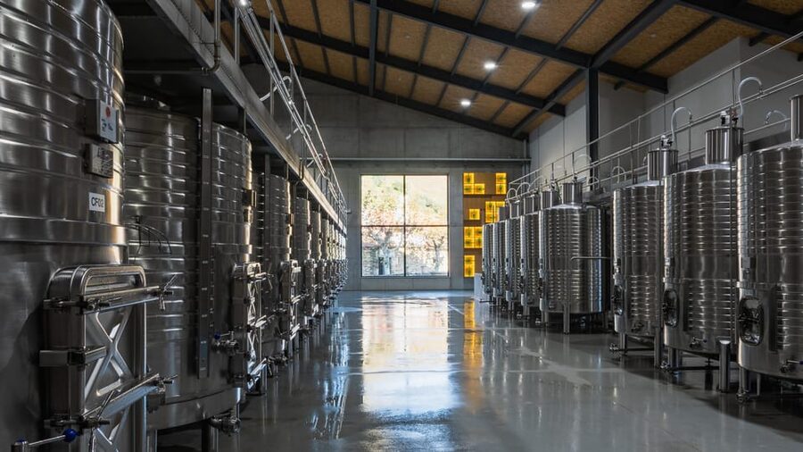 Pinhão: Quinta da Formigosa Vineyard Tour and Wine Tasting - The guides make the difference