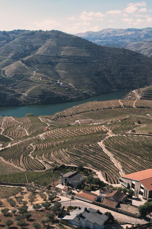 Pinhão: Quinta da Formigosa Vineyard Tour and Wine Tasting - Who will enjoy Quinta da Formigosa most?