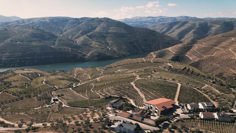 Pinhão: Quinta da Formigosa Vineyard Tour and Wine Tasting - Should you book it?