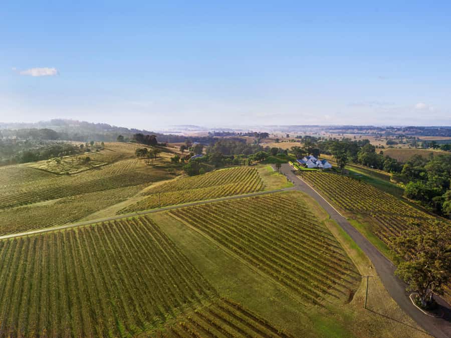 Pokolbin: Picnic & Wine Tasting at Audrey Wilkinson Vineyard - Why the setting matters at Audrey Wilkinson