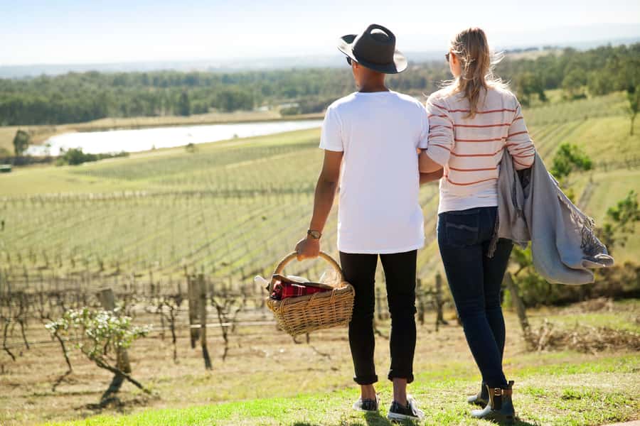 Pokolbin: Picnic & Wine Tasting at Audrey Wilkinson Vineyard - The wine master class and premium tasting