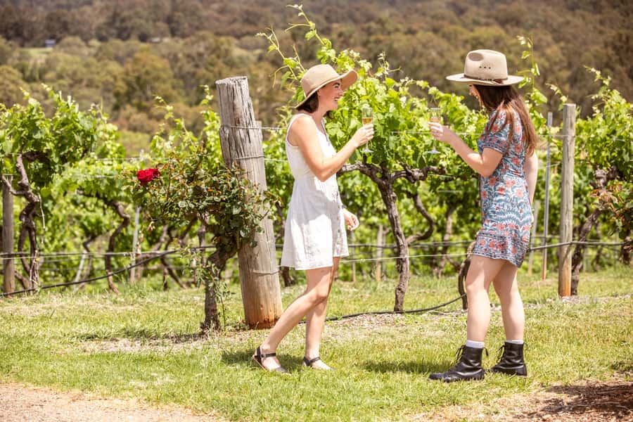 Pokolbin: Picnic & Wine Tasting at Audrey Wilkinson Vineyard - What the $67 price really covers