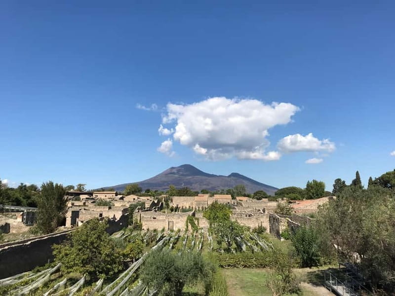 Pompeii: Archeological Tour & Wine Tasting at Mt. Vesuvius - Casa Setaro’s Vesuvian wine tasting